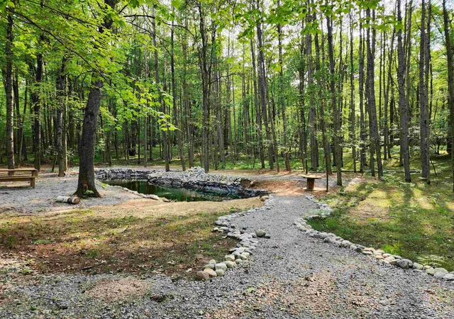Photo 4 of Land for sale at 4530 Teaberry Ln, Farwell, MI 48622 | MLS# 50218348 | Listing updated on 2026-08-12