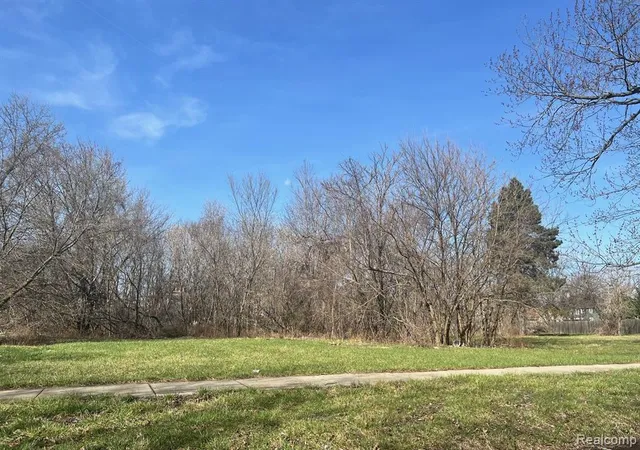 4th image of 3567 Lovett St, Detroit, MI 48210 | MLS# 60382257
