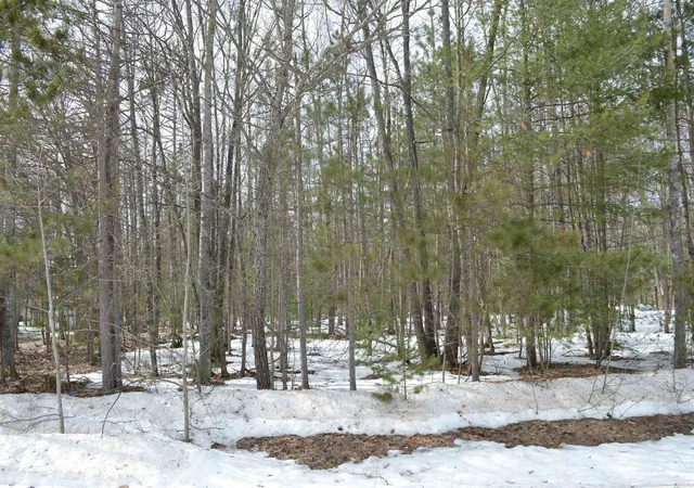 3rd image of 1949 Fairways Dr, Kalkaska, MI 49646 | MLS# 80065970