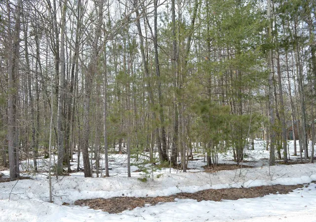 4th image of 1949 Fairways Dr, Kalkaska, MI 49646 | MLS# 80065970