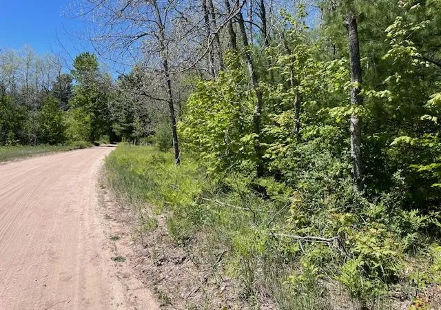 Homes for sale in Beulah, MI | 00 Aylsworth Rd, Beulah, MI 49617 | MLS# 80069941