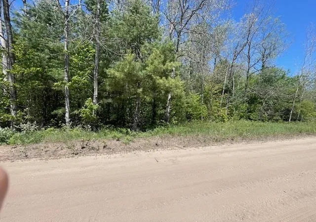Homes for sale in Beulah, MI | 00 Aylsworth Rd, Beulah, MI 49617 | MLS# 80069941