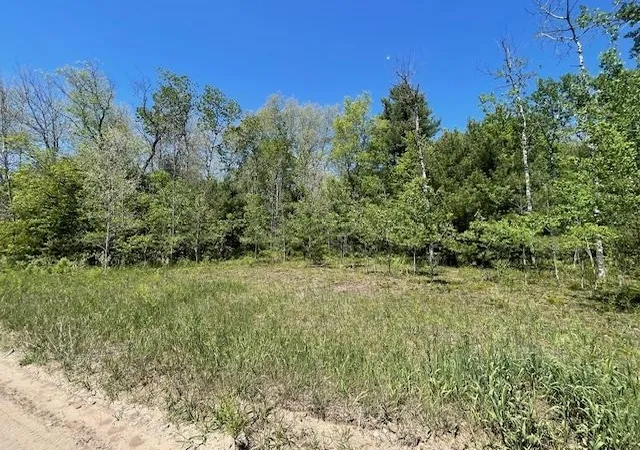 Homes for sale in Beulah, MI | 00 Aylsworth Rd, Beulah, MI 49617 | MLS# 80069941