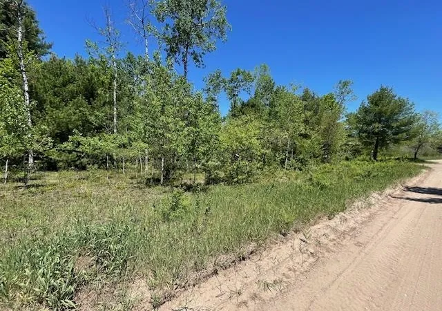 Homes for sale in Beulah, MI | 00 Aylsworth Rd, Beulah, MI 49617 | MLS# 80069941