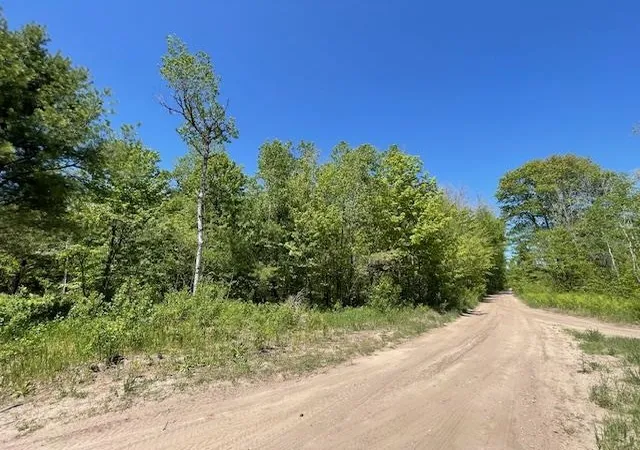 Homes for sale in Beulah, MI | 00 Aylsworth Rd, Beulah, MI 49617 | MLS# 80069941