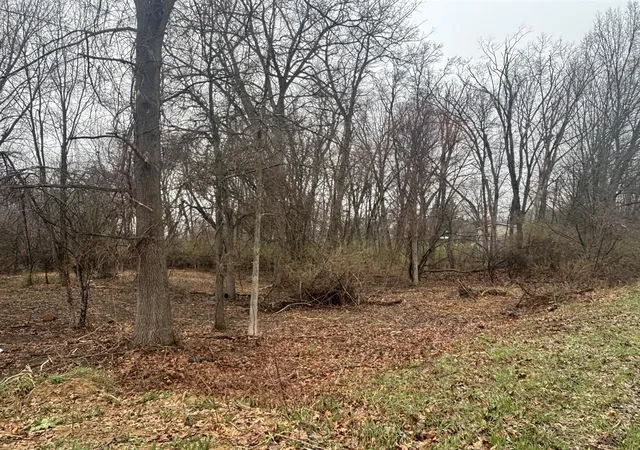 Photo 2 of Land for sale at V/l Mirror Dr, Jerome, MI 49249 | MLS# 70524407 | Listing updated on 2026-08-18