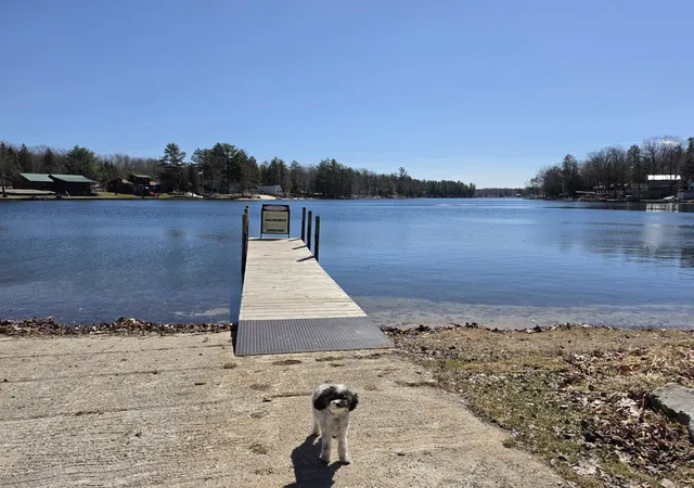 Homes for sale in Lake, MI | 466 West St, Lake, MI 48632 | MLS# 50204116