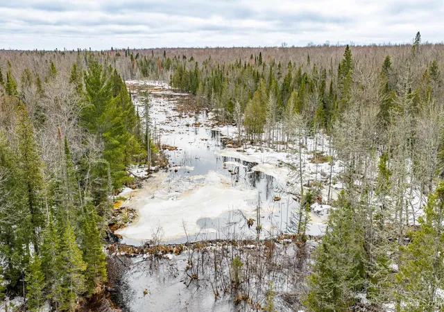 Photo 4 of Sale Pending at Tbd38 E Shore Rd, Bergland, MI 49910 | MLS# 50204536 | Listing updated on 2026-09-01