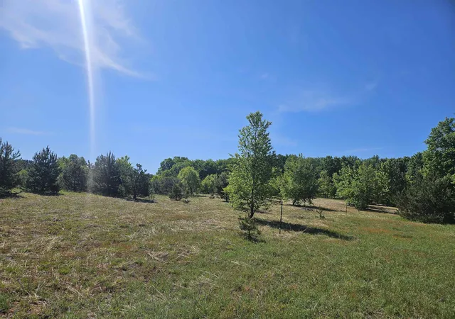 Homes for sale in Kalkaska, MI | V/l Parcel B Se Grass Lake Rd, Kalkaska, MI 49646 | MLS# 80069431