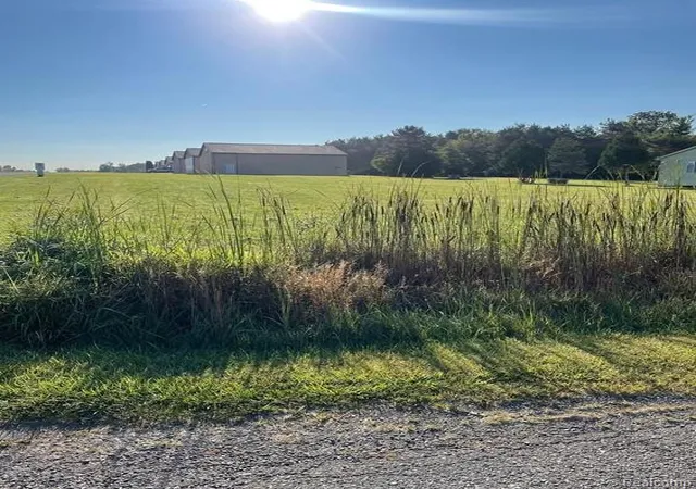 Photo 3 of Land for sale at 3844 Ann Dr, Flushing, MI 48433 | MLS# 60948404 | Listing updated on 2026-08-18