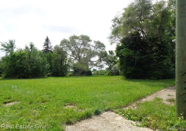 Photo 2 of Land for sale at 2881 17th St, Detroit, MI 48216 | MLS# 60134487 | Listing updated on 2025-10-22