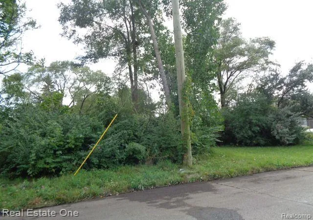 Photo 3 of Land for sale at 2881 17th St, Detroit, MI 48216 | MLS# 60134487 | Listing updated on 2025-10-22