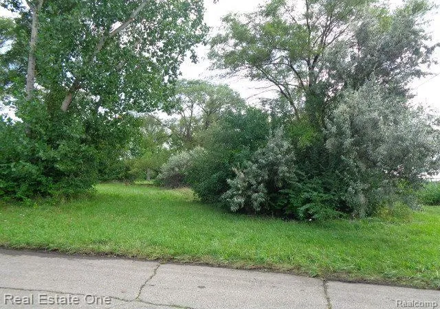 Photo 3 of Land for sale at 2881 17Th St, Detroit, MI 48216 | MLS# 60134487 | Listing updated on 2025-10-22