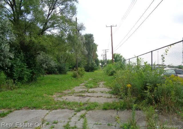Photo 4 of Land for sale at 2881 17Th St, Detroit, MI 48216 | MLS# 60134487 | Listing updated on 2025-10-22