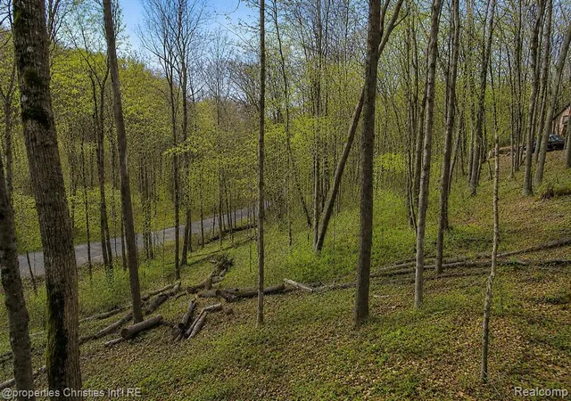 Homes for sale in Bellaire, MI | 4001 Deskin Dr, Bellaire, MI 49615 | MLS# 60993189