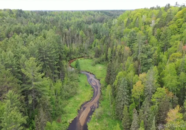 1st image of Tbd M 94 Hwy, Skandia, MI 49885 | MLS# 50210202