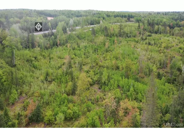 3rd image of Tbd M-94 Hwy, Skandia, MI 49885 | MLS# 50210202