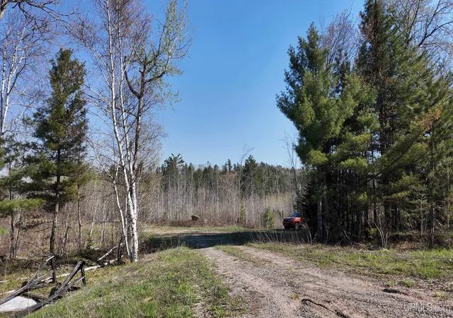 5th image of Tbd M-94 Hwy, Skandia, MI 49885 | MLS# 50210202