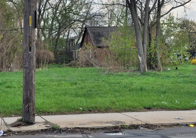 Photo 3 of Land for sale at 15335 Schoolcraft St, Detroit, MI 48227 | MLS# 60209956 | Listing updated on 2026-06-25