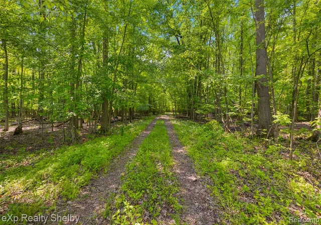 4th image of 14721 Terry Rd, Berlin, MI 48002 | MLS# 60400119