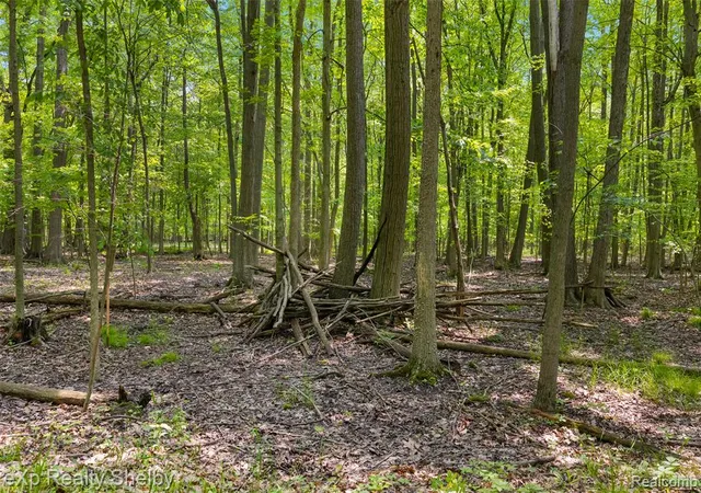 5th image of 14721 Terry Rd, Berlin, MI 48002 | MLS# 60400119