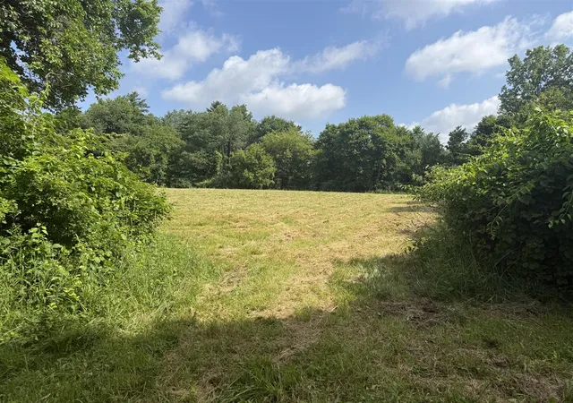 Photo 4 of Land for sale at Hagerman Rd, Leonard, MI 48367 | MLS# 70545638 | Listing updated on 2026-09-04