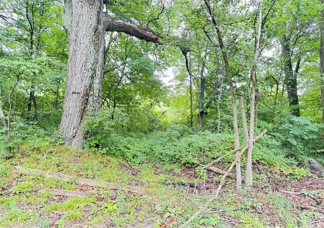 3rd image of 1246 S Locust Ave, White Cloud, MI 49349 | MLS# 70550394