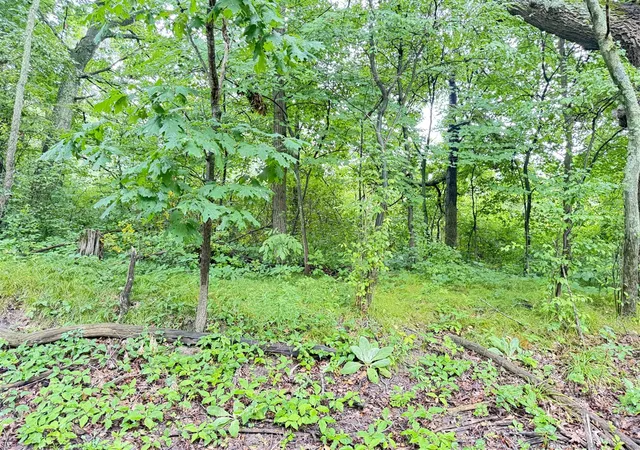 4th image of 1246 S Locust Ave, White Cloud, MI 49349 | MLS# 70550394