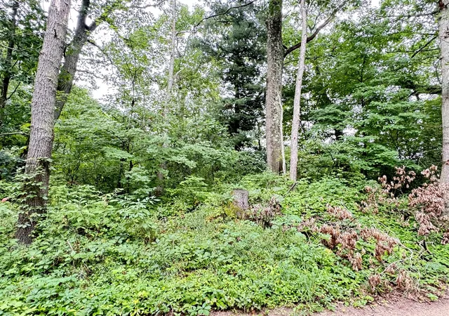 5th image of 1246 S Locust Ave, White Cloud, MI 49349 | MLS# 70550394