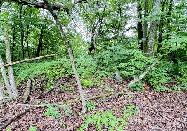 8th image of 1246 S Locust Ave, White Cloud, MI 49349 | MLS# 70550394