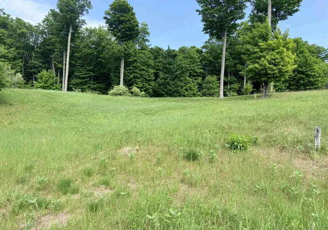 Homes for sale in Empire, MI | 00 W Sleepy Valley Dr, Empire, MI 49630 | MLS# 80069438