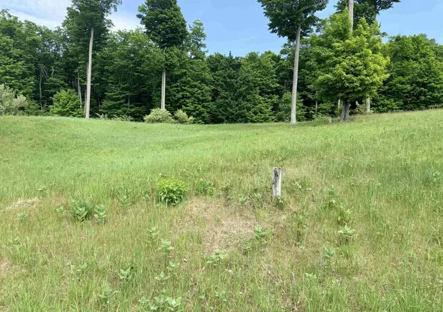 Homes for sale in Empire, MI | 00 W Sleepy Valley Dr, Empire, MI 49630 | MLS# 80069438