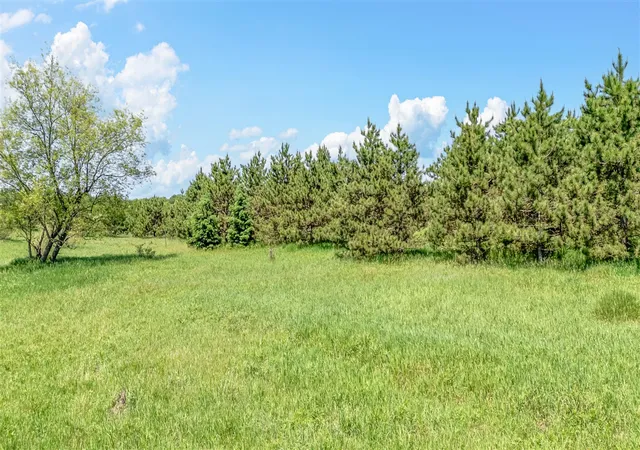 Homes for sale in Stanton, MI | V/L 3Rd St, Stanton, MI 48888 | MLS# 70535527