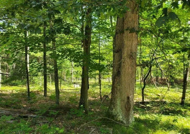 1st image of 0 Turtle Lake Rd, Prescott, MI 48756 | MLS# 80072687