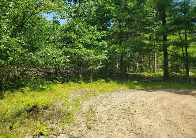 2nd image of 0 Turtle Lake Rd, Prescott, MI 48756 | MLS# 80072687