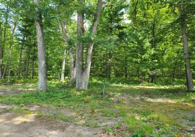3rd image of 0 Turtle Lake Rd, Prescott, MI 48756 | MLS# 80072687
