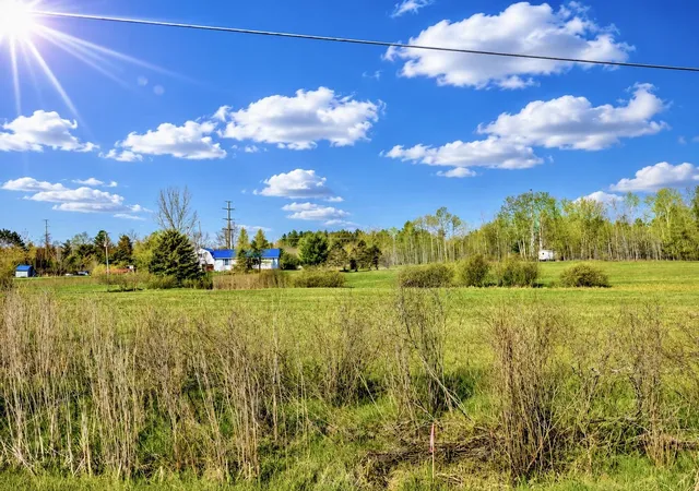 Photo 3 of Land for sale at 1750 National City Rd, National City, MI 48748 | MLS# 80071058 | Listing updated on 2026-09-18