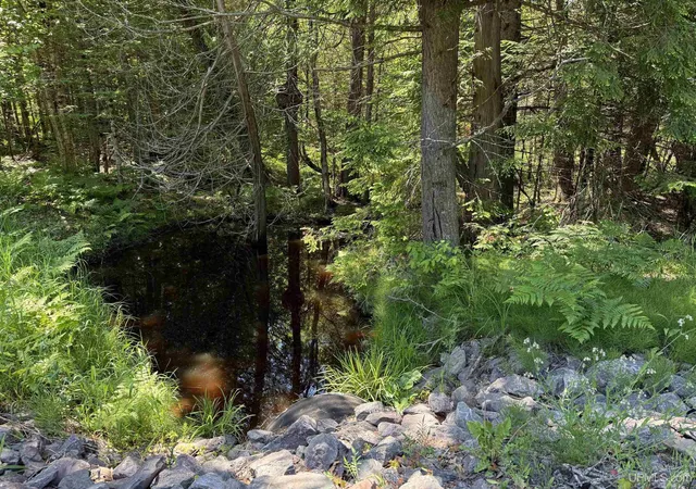 Homes for sale in Dollar Bay, MI | Tbd13 Upper Point Mills Rd, Dollar Bay, MI 49922 | MLS# 50212943
