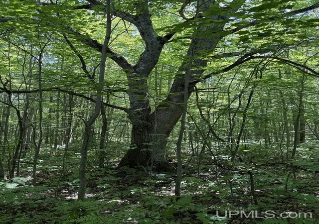 Homes for sale in Dollar Bay, MI | Tbd13 Upper Point Mills Rd, Dollar Bay, MI 49922 | MLS# 50212943