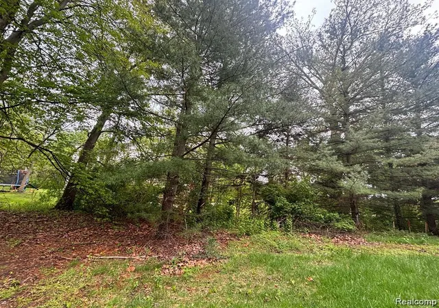 Photo 4 of Land for sale at 5961 Woodmire, Shelby Township, MI 48316 | MLS# 60944896 | Listing updated on 2026-06-24