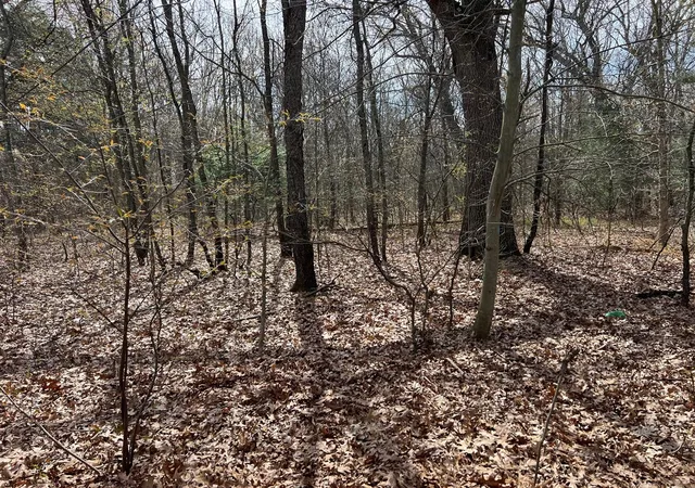 Photo 3 of Sale Pending at V/l Nielsen Rd, Muskegon, MI 49445 | MLS# 70526515 | Listing updated on 2026-09-17