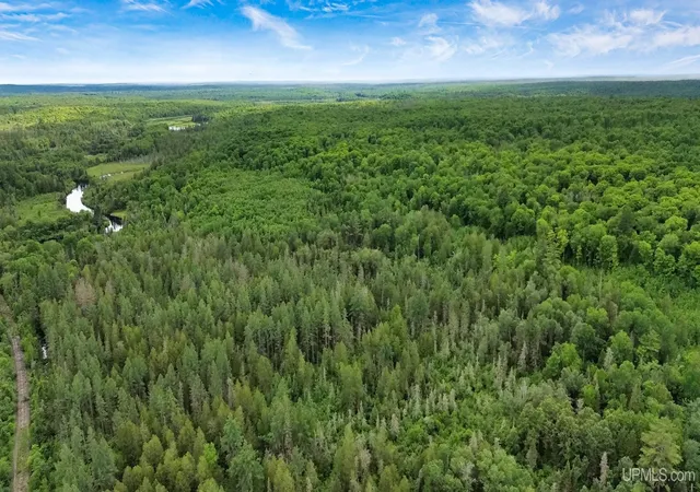 Homes for sale in Amasa, MI | 40 Acres Off Wide Waters Rd, Amasa, MI 49902 | MLS# 50212937