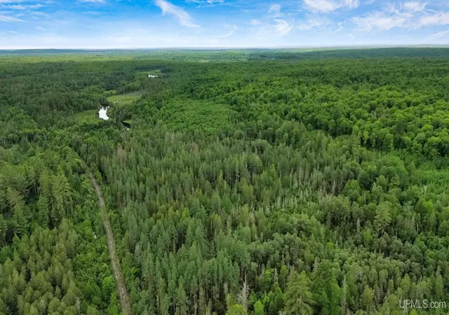 Homes for sale in Amasa, MI | 40 Acres Off Wide Waters Rd, Amasa, MI 49902 | MLS# 50212937