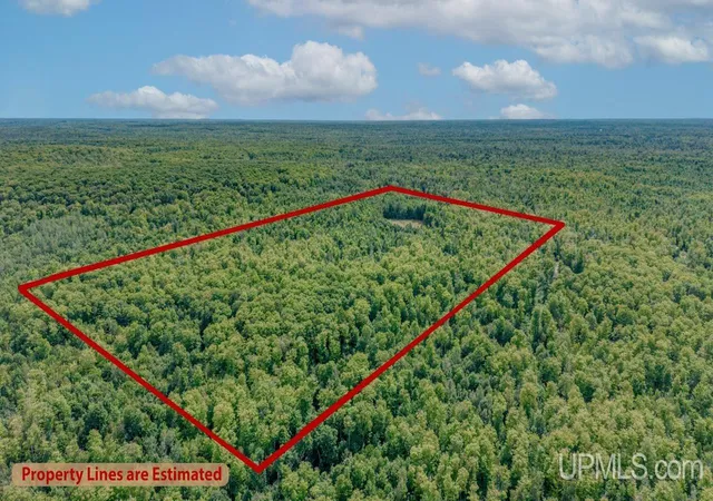 Photo 16 of Land for sale at 673 & 685 Yalmer Rd, Skandia, MI 49885 | MLS# 50219707 | Listing updated on 2026-08-26