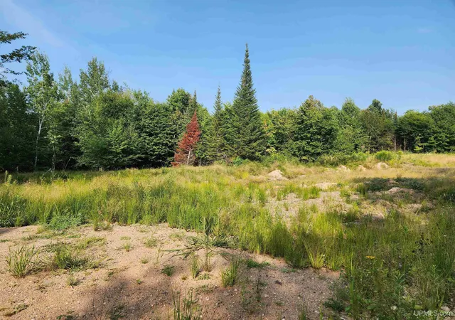 1st image of 673 & 685 Yalmer Rd, Skandia, MI 49885 | MLS# 50219707