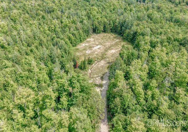 Photo 4 of Land for sale at 673 & 685 Yalmer Rd, Skandia, MI 49885 | MLS# 50219707 | Listing updated on 2026-08-26