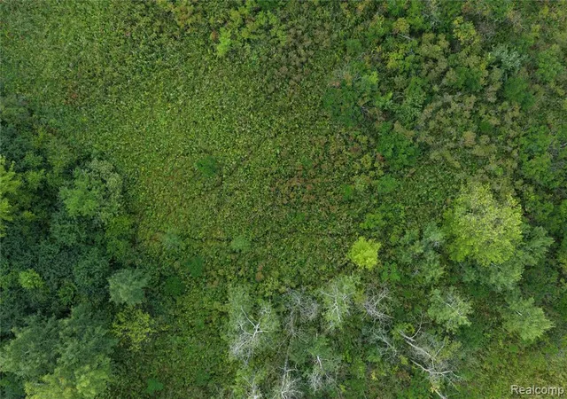 Photo 2 of Land for sale at 000 Harr Rd, Grass Lake, MI 48118 | MLS# 61020842 | Listing updated on 2026-08-15