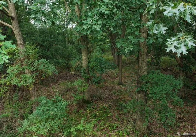 Photo 3 of Land for sale at 000 Harr Rd, Grass Lake, MI 48118 | MLS# 61020842 | Listing updated on 2026-08-15