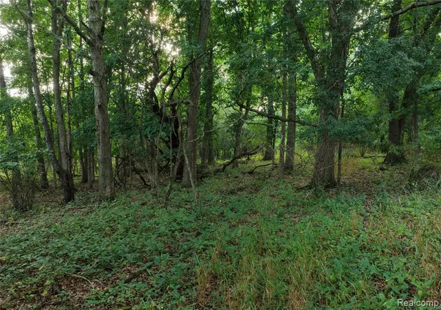 Photo 3 of Land for sale at 000 Harr Rd, Grass Lake, MI 48118 | MLS# 61020842 | Listing updated on 2026-08-15