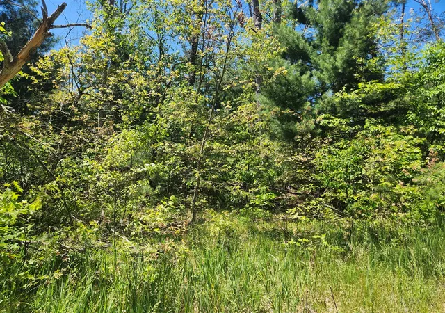 Photo 3 of Land for sale at Vl S Delaware Ave, Baldwin, MI 49304 | MLS# 70537723 | Listing updated on 2026-06-09